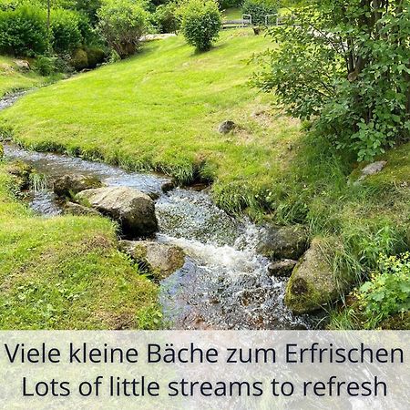 Auszeit Apartment Black Forest Schonach im Schwarzwald Esterno foto