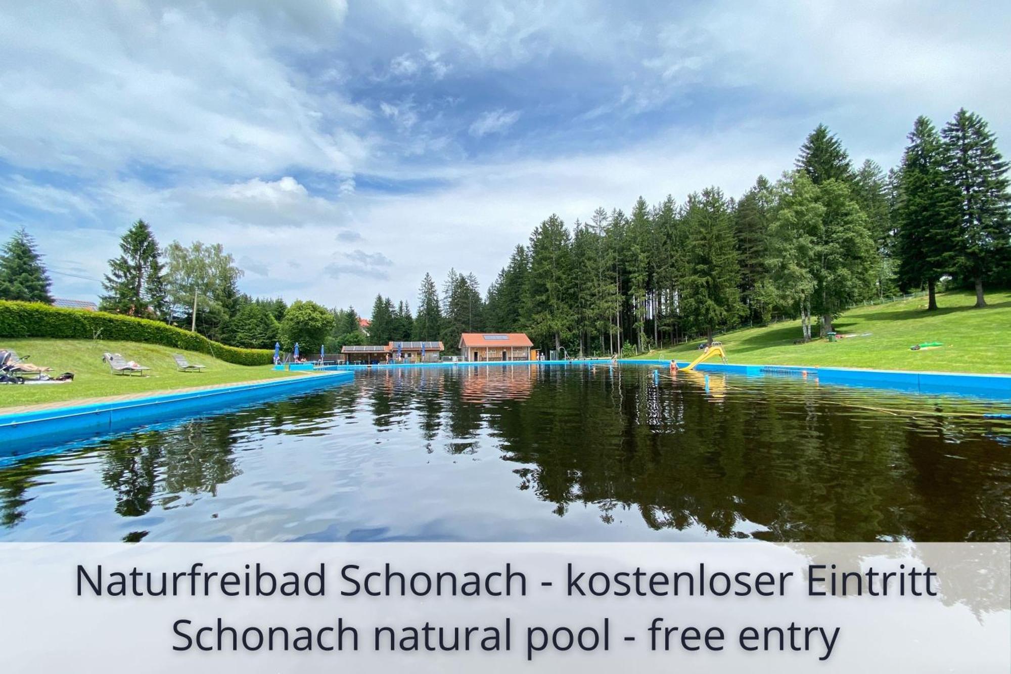 Auszeit Apartment Black Forest Schonach im Schwarzwald Esterno foto