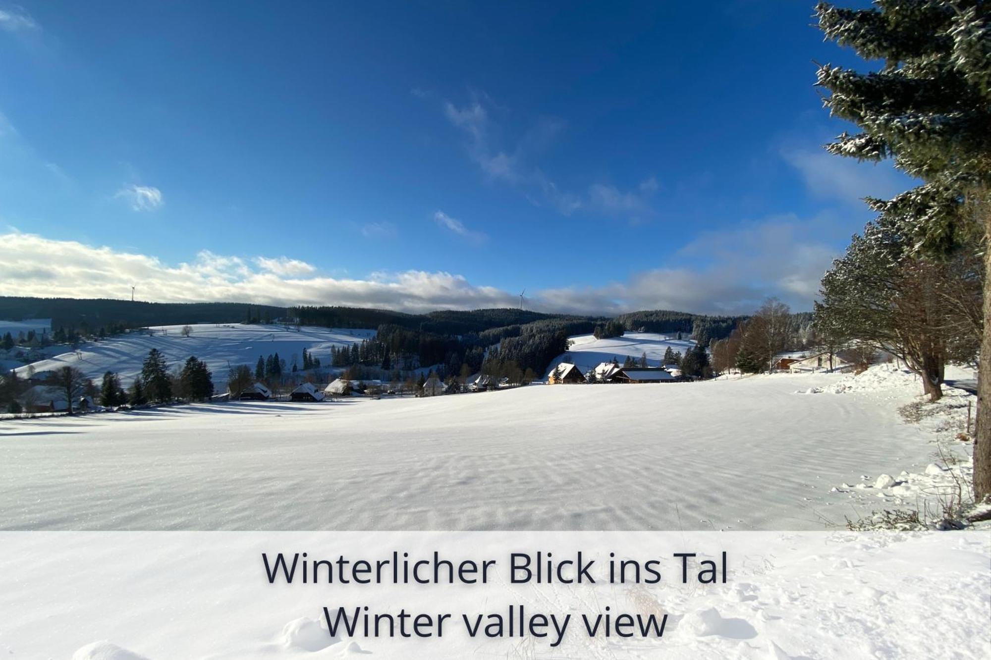 Auszeit Apartment Black Forest Schonach im Schwarzwald Esterno foto