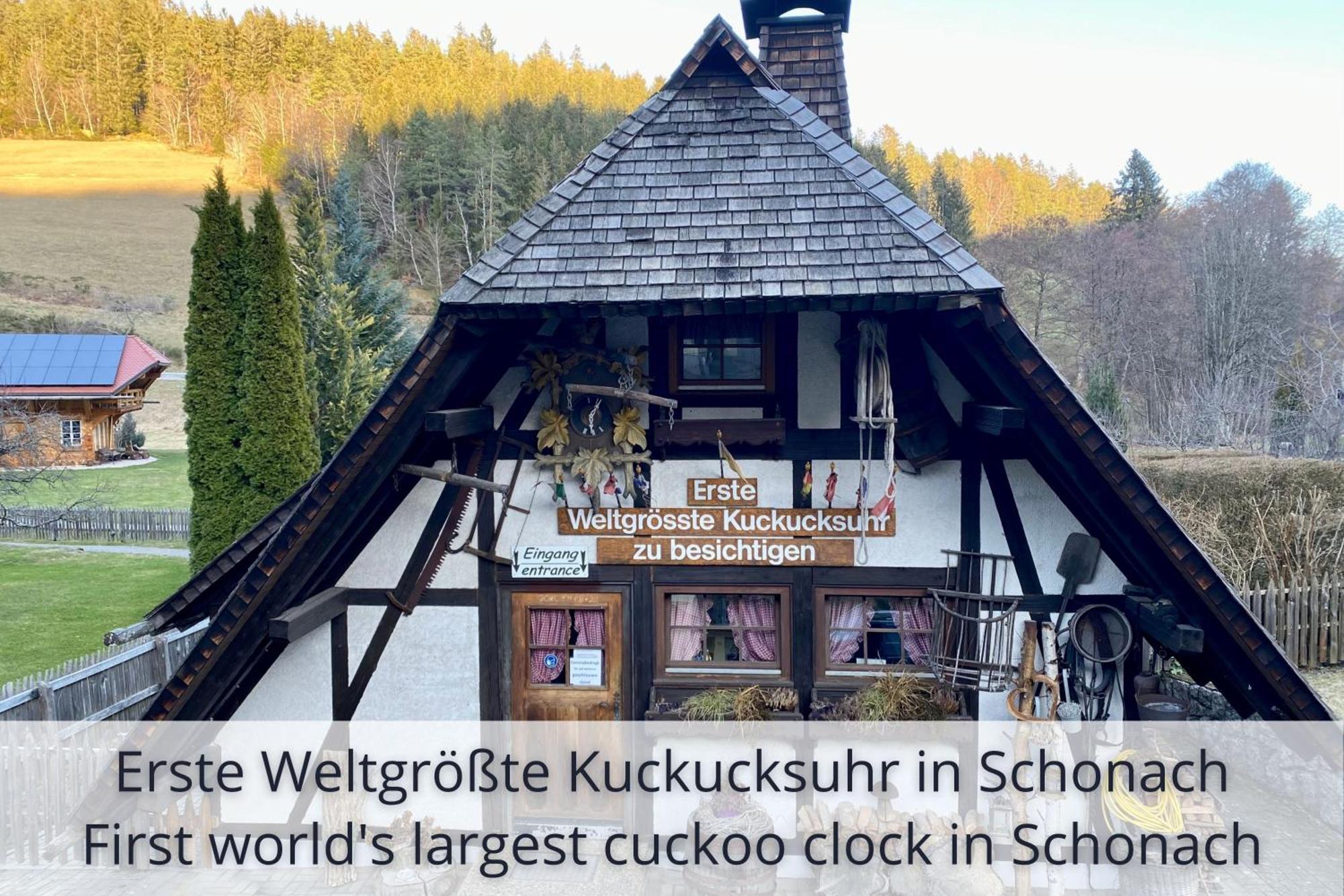 Auszeit Apartment Black Forest Schonach im Schwarzwald Esterno foto