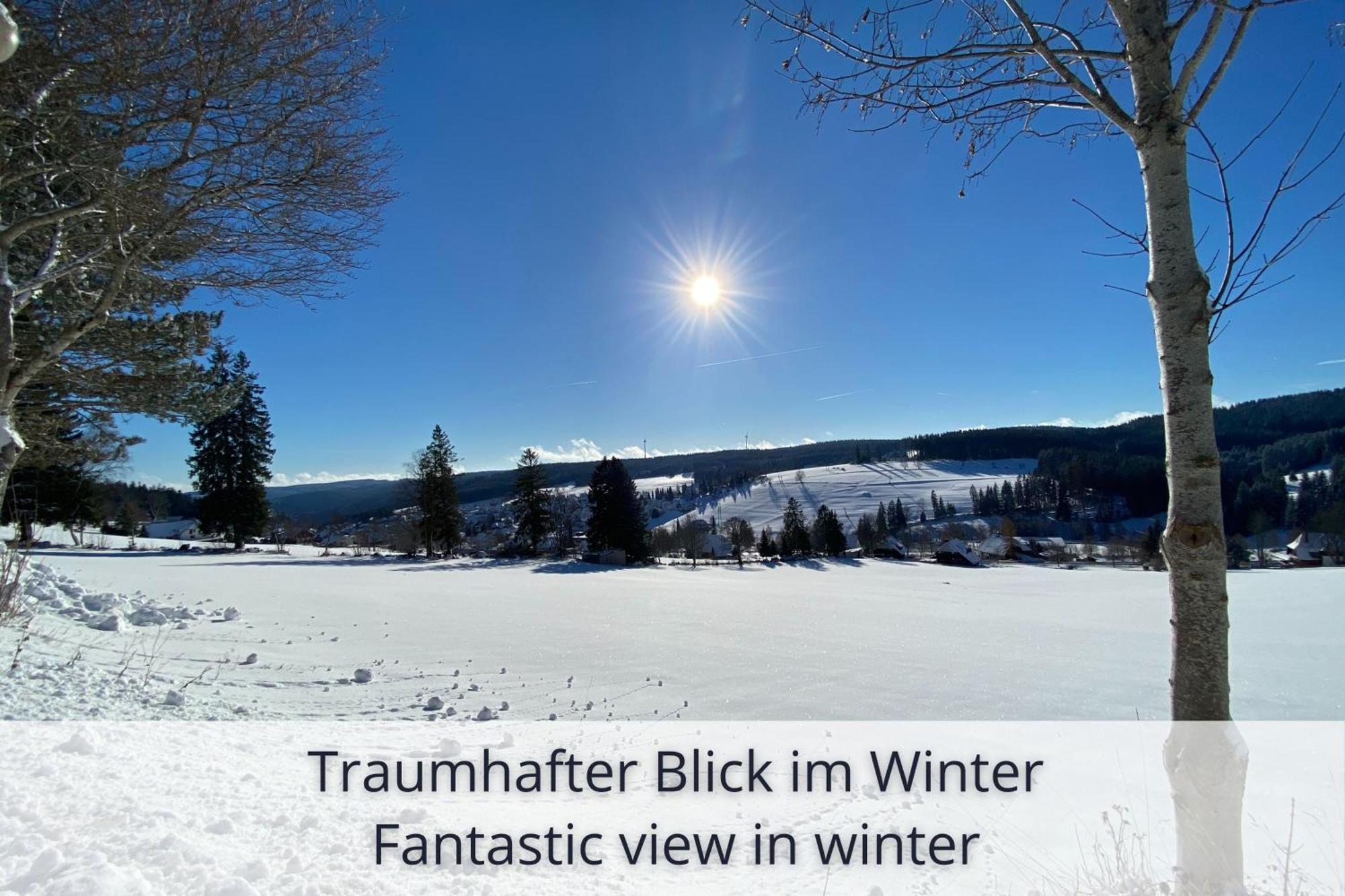 Auszeit Apartment Black Forest Schonach im Schwarzwald Esterno foto